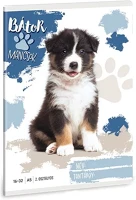 Ars una 01.08515 Füzet vonalas kép