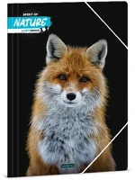 Ars una 02.01269 Gumis mappa  a/4 máté bence-fox kép