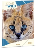 Ars una 02.01448 Gumis mappa  a/4 icons of the wild-serval kép