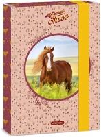 Ars una 15.17537 Füzetbox  a/5 my sweet horse kép