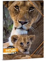 Ars una 50214334 Máté bence-lion 24 (5433) a4 gumis mappa kép