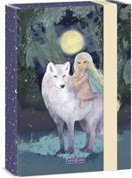 Ars una 50865277 Füzetbox a/5 northern lights kép