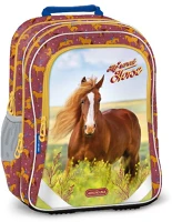 Ars una ARS UNA ERGO-FIT MY Iskolatáska  ergo-fit my sweet horse kép
