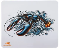 Baracuda 300 X 250 X 2 Bgmp-71 orca egérpad 300 x 250 x 2 kép