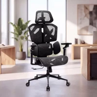 Bemada BMD1123BK titanmesh pro irodai forgószék oldalpárnával - fekete - 119 x 72 x 73 cm kép