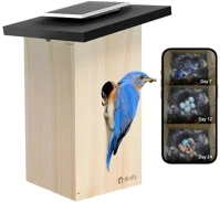 Birdfy EPPAMBNI8802110 Madáretető kamerával, ébenfa, ai nélkül (eppambni8802110) kép
