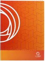 Bluering H3052333 Beírókönyv a4, 192lap, keményfedeles, egyszínű,  kockás kép