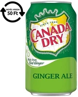 Canada dry 30.01497 Üdítőital szénsavas  0,33l drs kép