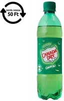 Canada dry 30.01498 Üdítőital szénsavas  0,5l drs kép