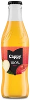 Cappy 30.01306 Gyümölcslé  alma 100% üveges 0,25l drs kép