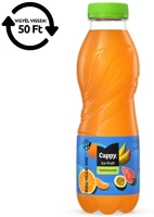Cappy 30.01320 Üdítőital szénsavmentes  ice fruit multivitamin 12%-os 0,5l drs kép