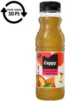 Cappy 30.01334 Gyümölcslé  őszibarack mix 50%-os 0,33l drs kép