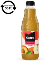 Cappy 30.01335 Gyümölcslé  őszibarack mix 50%-os 1l drs kép