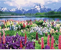 Centrum 89645 Kreatív kifestő klt.  számozott, 30x40 cm, svájci hegyek virágos réttel kép