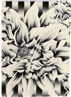 Clairefontaine 115698C Füzet  kenzo takada a/5 32 lapos, vonalas, varrott gerinccel, vegyes kép