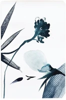 Clairefontaine 115925C Füzet  inkebana 11x17 cm, 32 lapos, vonalas, varrott gerinccel, vegyes kép