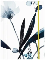 Clairefontaine 115936C Gumis mappa karton  inkebana 24x32 cm kép