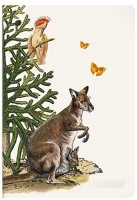 Clairefontaine 115992C Füzet  deyrolle animalis a/4, 48 lapos, vonalas, margós, vegyes kép