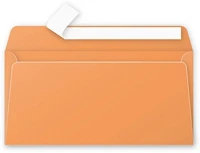 Clairefontaine 5495C Boríték  pollen la/4 szilikonos narancssárga kép