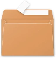 Clairefontaine 5496C Boríték  pollen lc/6 szilikonos narancssárga kép