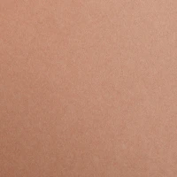 Clairefontaine 97474C Karton  maya a/4 270g világosbarna kép