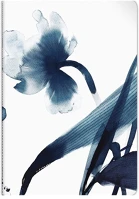 Clairefontaine INKEBANA A/4, 32 Füzet  inkebana a/4, 32 lapos, vonalas, margós, varrott gerinccel, vegyes kép