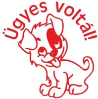 Colop COR_IC18034302 Bélyegző, motivációs, ügyes voltál!,  