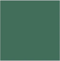 Colorama CO137 2.72x11m fenyőzöld / spruce green kép