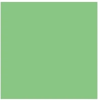 Colorama CO159 2.72x11m világoszöld / summer green kép