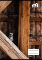 Cool by victoria COR_ISVFC100 Füzet, tűzött, a4, vonalas, 32 lap,  