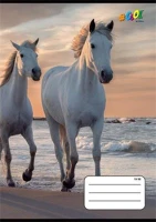 Cool by victoria COR_ISVFC78 Füzet, tűzött, a5, vonalas, 32 lap, 3. osztály, 