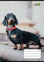 Cool by victoria COR_ISVFC81 Füzet, tűzött, a5, kockás, 32 lap, 