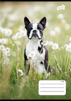 Cool by victoria COR_ISVFC98 Füzet, tűzött, a5, kockás, 32 lap,  