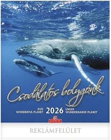 Csg 23.0130029 Falinaptár  300x340mm álló csodálatos bolygónk 2026. kép