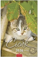 Csg 23.013018 Falinaptár  210x320mm álló cicák 2026. kép
