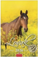 Csg 23.013019 Falinaptár  210x320mm álló lovak 2026. kép