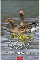 Csg 23.09065 Falinaptár  210x320mm álló vizeink világa 2026. kép