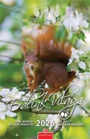 Csg COR_NCFN084 Naptár, fali,  