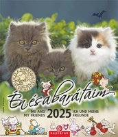 Csg COR_NCFNU05 Naptár, fali,  