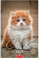 Csg FN 089 2025 cicák 21x32cm falinaptár kép