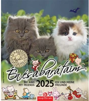 Csg FN U05 2025 én és a barátaim 19x22cm falinaptár kép