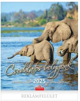 Csg FN U10CS 2025 csodálatos bolygónk 30x34cm falinaptár kép