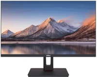 Dahua LM24-C301B 23,8