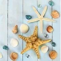 Daisy J12300007ROB Szalvéta  everyday tengeri csillagok 3 rétegű 33x33 cm 20 darabos kép