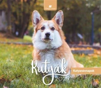 Dayliner COR_NAS500525 Naptár, asztali, álló,  