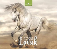 Dayliner COR_NAS500625 Naptár, asztali, álló,  