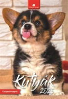 Dayliner COR_NFAKUB425 Naptár, fali, 