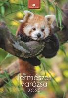 Dayliner COR_NFATVB425 Naptár, fali, 