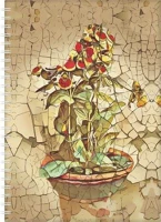 Dayliner COR_NSA5HB25 Naptár, tervező, a5, heti, 