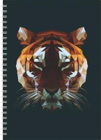 Dayliner COR_NSA5HT25 Naptár, tervező, a5, heti, 